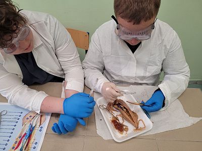 Zajęcia z biologii