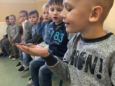 Żywa lekcja przyrody