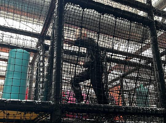 Wizyta w Loopy’s World w Gdańsku