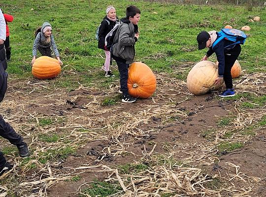 Wycieczka klas I – III