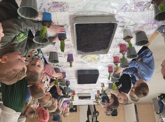 Grafika #2: W Leśnej Łączce w Gowidlinie