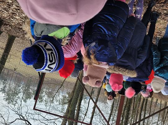 Grafika #31: W Leśnej Łączce w Gowidlinie