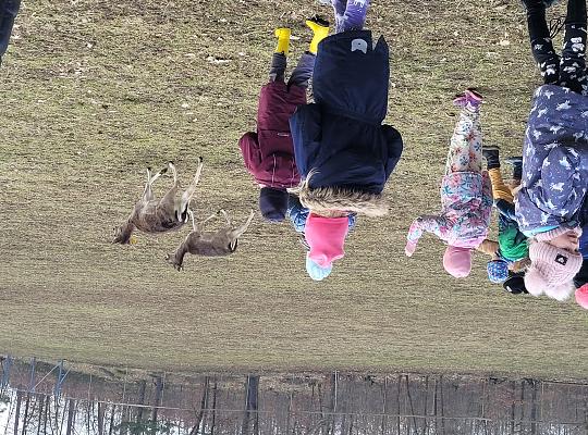 Grafika #32: W Leśnej Łączce w Gowidlinie