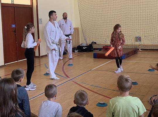 Grafika #1: Pokaz karate