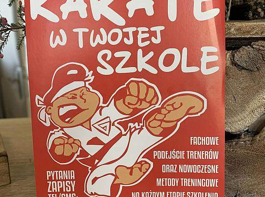 Grafika #4: Pokaz karate