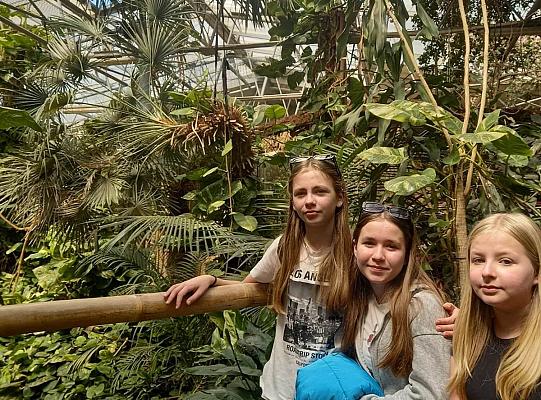 Grafika #14: Wycieczka szkolna – Karkonosze i Wrocław