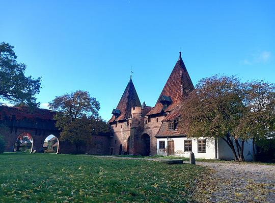 Grafika #8: POZNAJ POLSKĘ! - WYCIECZKA DO MALBORKA I TCZEWA