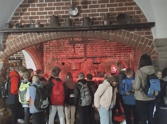 Grafika #4: POZNAJ POLSKĘ! - WYCIECZKA DO MALBORKA I TCZEWA