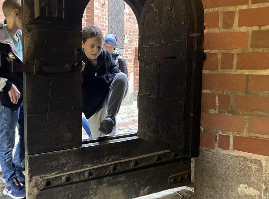 Grafika #11: POZNAJ POLSKĘ! - WYCIECZKA DO MALBORKA I TCZEWA