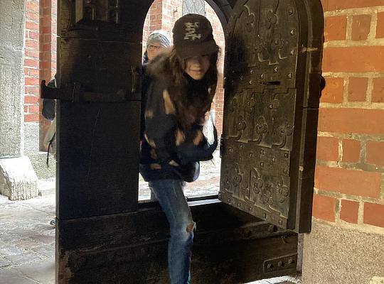 Grafika #12: POZNAJ POLSKĘ! - WYCIECZKA DO MALBORKA I TCZEWA