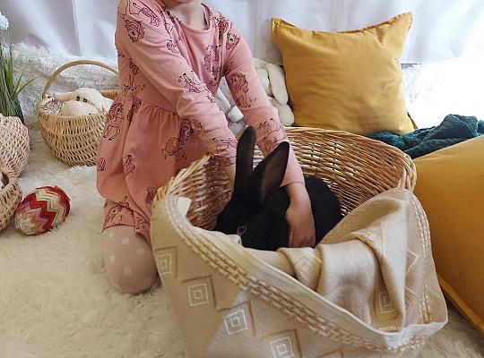 Grafika #0: Wielkanoc w grupie przedszkolnej