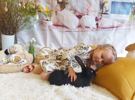 Grafika #5: Wielkanoc w grupie przedszkolnej