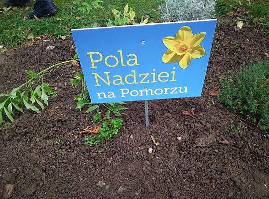 Grafika #0: Pola Nadziei na Pomorzu