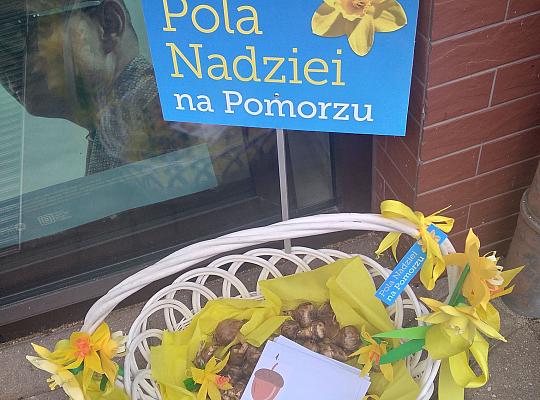 Grafika #0: Pola Nadziei na Pomorzu