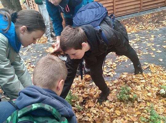 Grafika #2: Pola Nadziei na Pomorzu