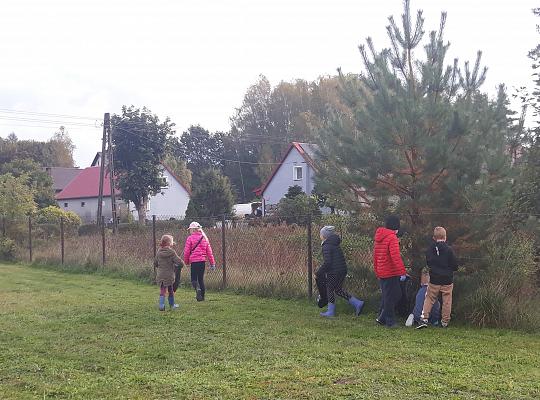 Grafika #0: AKCJA SPRZĄTAMY DLA POLSKI W NASZEJ SZKOLE.