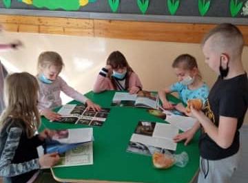 Grafika #0: Tydzień Bibliotek