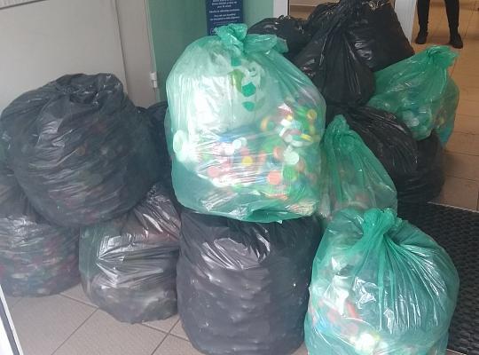 Grafika #0: Zbiórka nakrętek