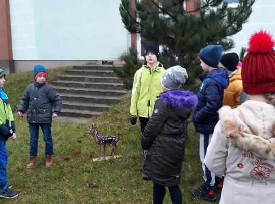 Grafika #3: Spotkanie z pracownikiem Pomorskiego Ośrodka Rehabilitacji Dzikich Zwierząt Ostoja