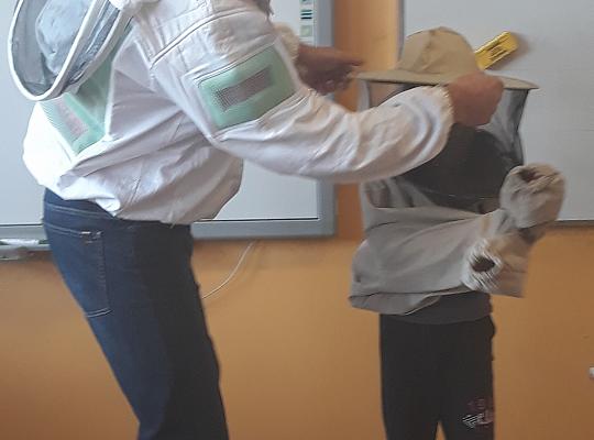 Grafika #0: Lekcja o pszczołach