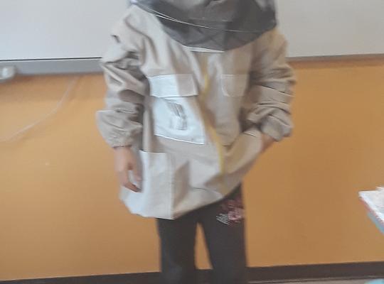 Grafika #1: Lekcja o pszczołach