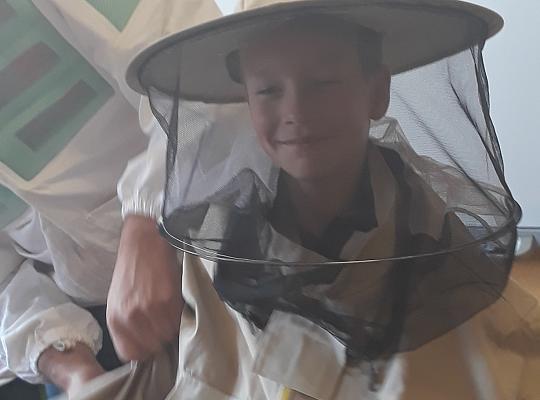 Grafika #4: Lekcja o pszczołach