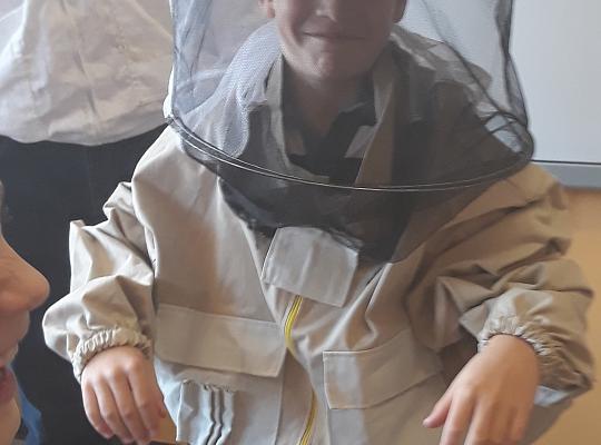 Grafika #5: Lekcja o pszczołach