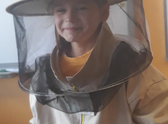 Grafika #6: Lekcja o pszczołach