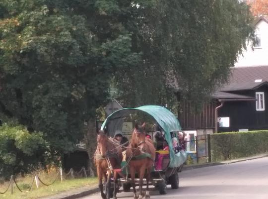 Grafika #10: Warsztaty Szymbark