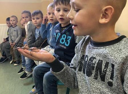 Grafika #0: Żywa lekcja przyrody