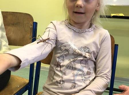 Grafika #1: Żywa lekcja przyrody