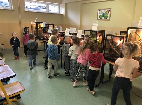 Grafika #3: Żywa lekcja przyrody