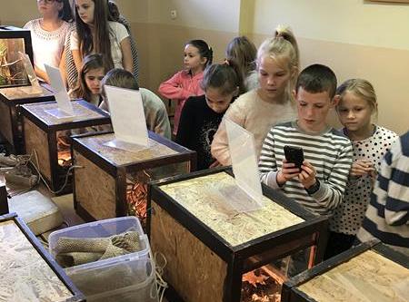 Grafika #13: Żywa lekcja przyrody