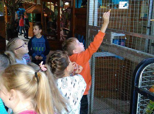 Grafika #2: WYJAZD DO PARKU EDUKACYJNEGO ZOO - EGZOTYCZNE KASZUBY w Tuchlinie