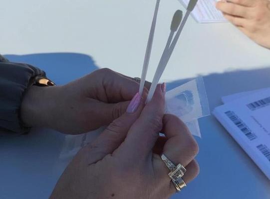 Dzień Szpiku Kostnego