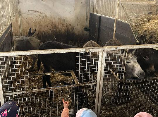 12. Przedszkolna wyprawa do „Leśnej Łączki” w Gowidlinie.