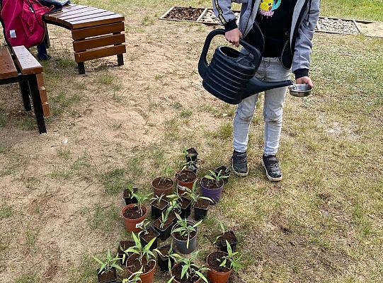 W ogródku sensorycznym