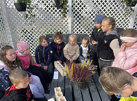 Zielona Strefa Relaksu oficjalnie otwarta