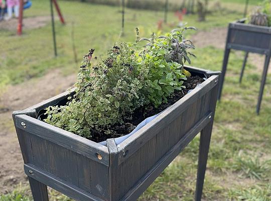 Zielona Strefa Relaksu oficjalnie otwarta