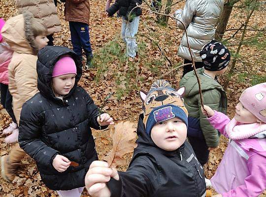 Strażnicy wodnych łąk