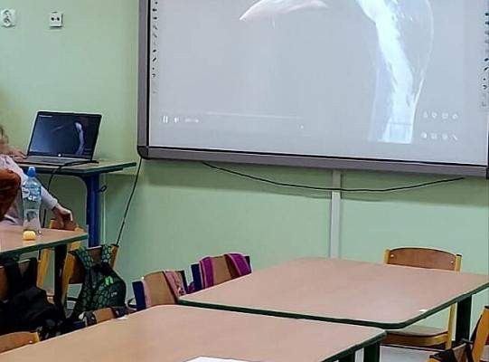 Strażnicy wodnych łąk