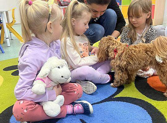 Listopad w grupie 5-latków