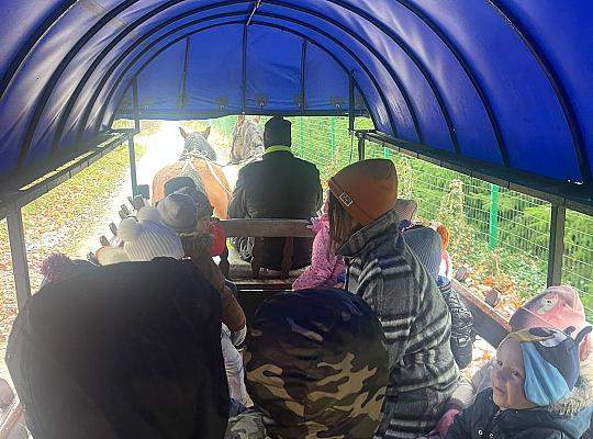 Listopad w grupie 5-latków