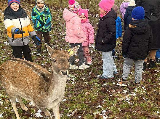 Listopad w grupie 5-latków