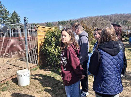 Wolontariusze w schronisku dla zwierząt