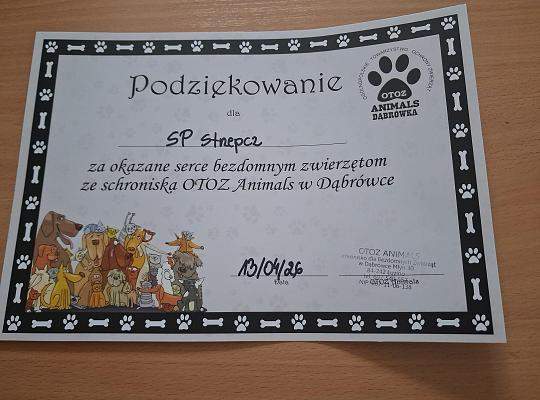 Wolontariusze w schronisku dla zwierząt